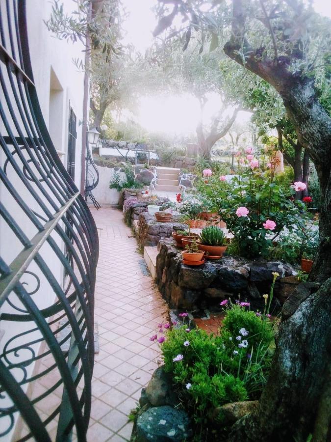 B&B Valverde Dorgali Exterior foto